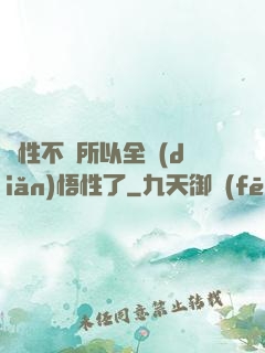 屬性不夠所以全點(diǎn)悟性了