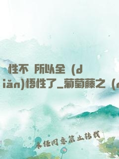 屬性不夠所以全點(diǎn)悟性了