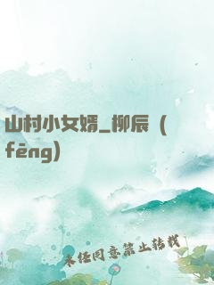 山村小女婿