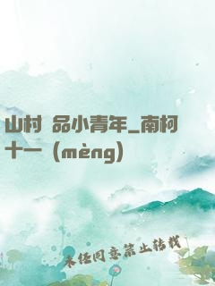 山村極品小青年
