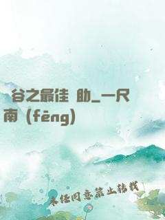 峽谷之最佳輔助