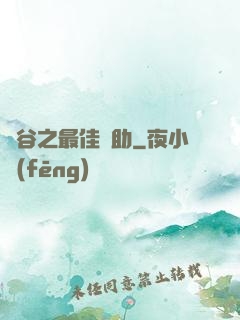 峽谷之最佳輔助