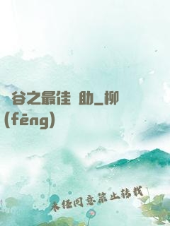 峽谷之最佳輔助