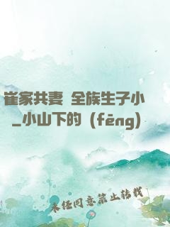 崔家共妻給全族生子小說