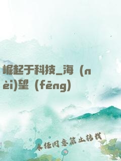 崛起于科技