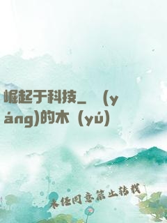 崛起于科技