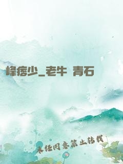 巔峰痞少