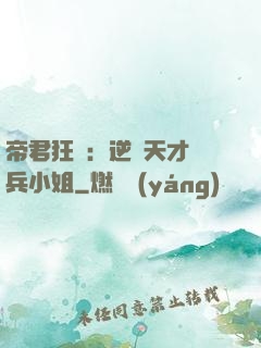帝君狂愛：逆襲天才傭兵小姐