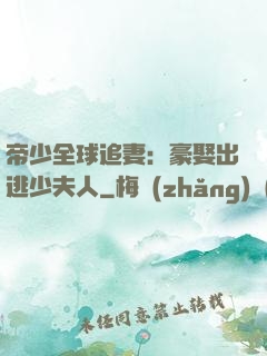 帝少全球追妻：豪娶出逃少夫人