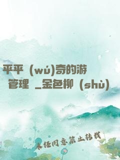 平平無(wú)奇的游戲管理員