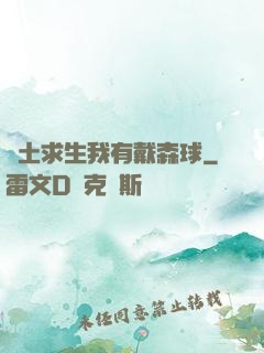 廢土求生我有戴森球