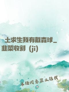 廢土求生我有戴森球