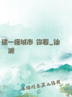 建一座城市給你看