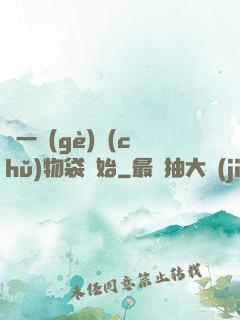 從一個(gè)儲(chǔ)物袋開始