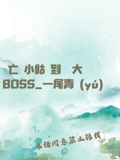 從亡靈小骷髏到終極大BOSS
