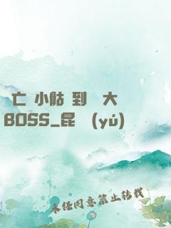 從亡靈小骷髏到終極大BOSS