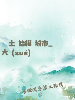 從廢土開始模擬城市