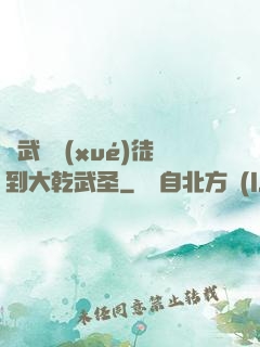 從武館學(xué)徒到大乾武圣