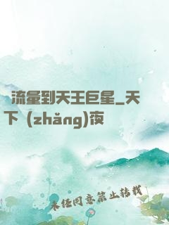從流量到天王巨星