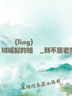 從無敵領(lǐng)域崛起的祖師爺