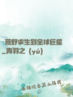 從荒野求生到全球巨星