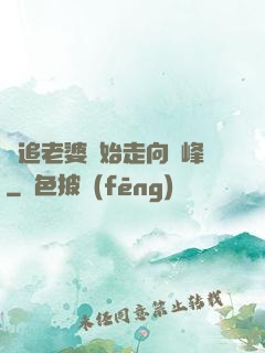 從追老婆開始走向巔峰