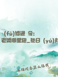復(fù)婚通緝令：老婆哪里跑