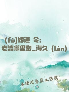 復(fù)婚通緝令：老婆哪里跑