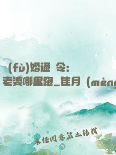 復(fù)婚通緝令：老婆哪里跑