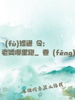 復(fù)婚通緝令：老婆哪里跑