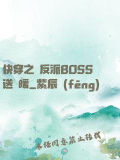 快穿之給反派BOSS送溫暖