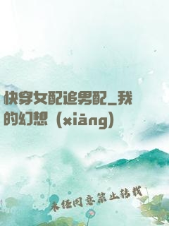 快穿女配追男配