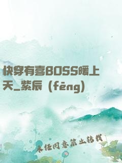 快穿有喜BOSS暖上天