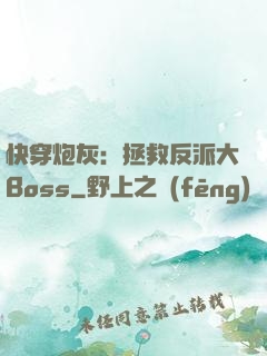 快穿炮灰：拯救反派大Boss