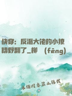 快穿：反派大佬的小撩精野翻了
