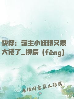 快穿：宿主小妖精又撩大佬了