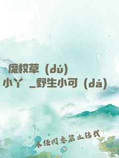 惡魔校草獨(dú)寵小丫頭