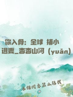 愛你入骨：全球緝捕小逃妻