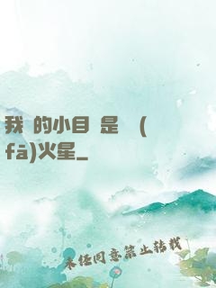 我們的小目標是開發(fā)火星