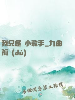 我只是個小歌手