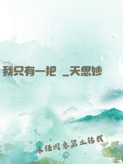 我只有一把槍
