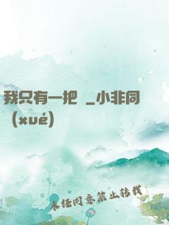 我只有一把槍