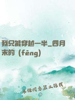我只能穿越一半