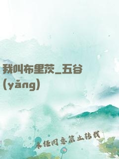 我叫布里茨