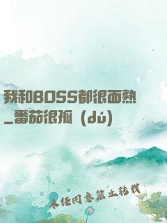 我和BOSS都很面熟
