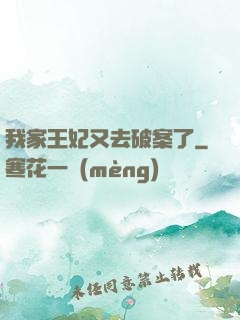 我家王妃又去破案了