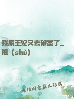 我家王妃又去破案了