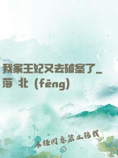 我家王妃又去破案了