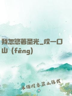 我忽悠著圣光