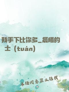 我手下比你多